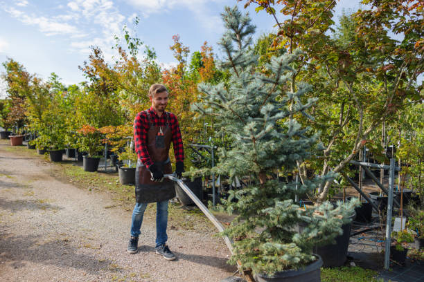 Sand Point, AK Tree Services Company